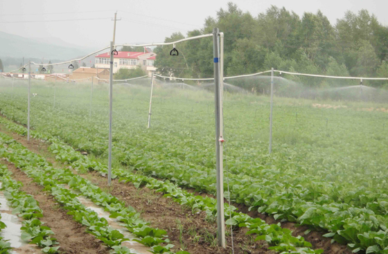張家口噴灌項目 張家口噴灌項目