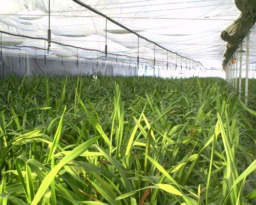 b201112022035488747.jpg b201112022035488747.jpg