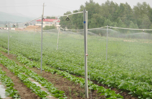 遼寧省阜新市彰武縣噴灌項(xiàng)目